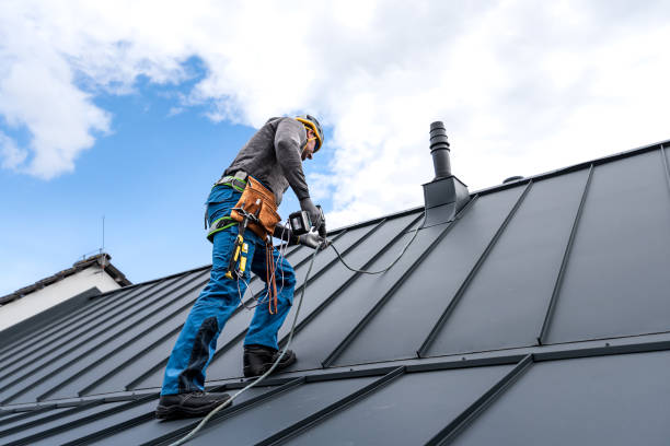 Best Skylight Installation and Repair  in Washgton, IN